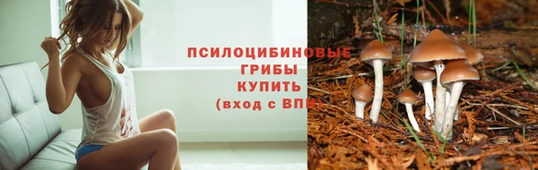 марки lsd Волосово
