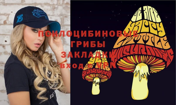 твердый Волоколамск