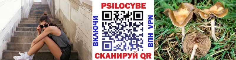 Галлюциногенные грибы прущие грибы  Купить где  Сим 